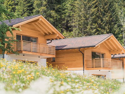 Bild 9 aus  Residence Waldrelax