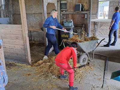 Bild 41 aus  Ferienhof Sell Bauernhofurlaub Ostsee Ponys