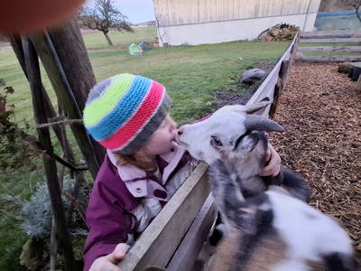 Bild 30 aus  Mojer Hof