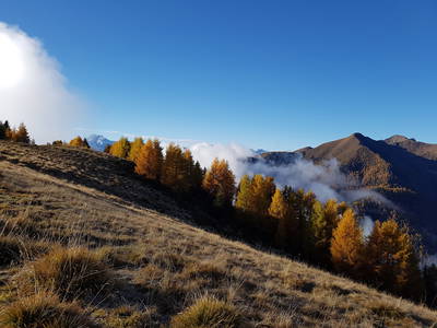 Bild 13 aus  Innerharmerhof