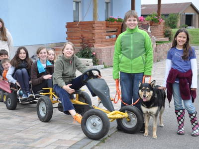 Bild 19 aus  Freizeit- und Ferienreiterhof Odenwald