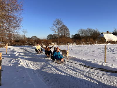 Bild 61 aus  Ferienhof Sell Bauernhofurlaub Ostsee Ponys