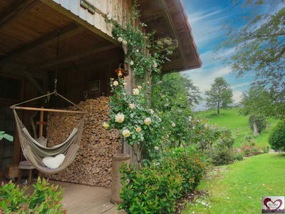 Bild 8 aus  „Hernis-Höfle“ Wohlfühlambiente im Elztal  5⭐️Sterneferien.