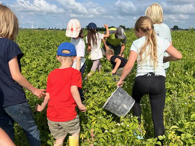 Bild 6 aus  Warfthof Wollatz - Nordseeurlaub mit Feinsinn
