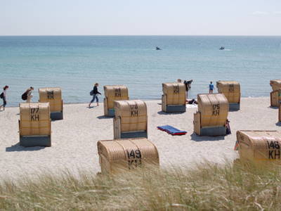 Bild 12 aus  Ferienhof Kleingarn