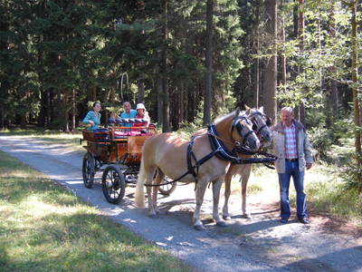 Bild 24 aus  Ferienhof Wilfert