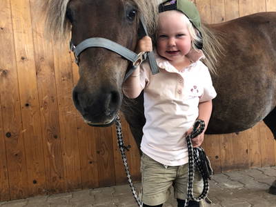 Bild 12 aus  Ponyhof Goldenstein