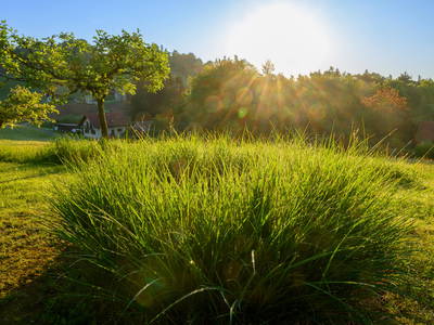 Bild 35 aus  Der Ofenmacherhof  Urlaub am Bauernhof