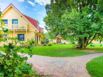 Bild 5 aus  Kleine Viecherei