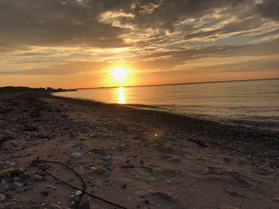 Bild 41 aus  Luftsnapper & Fellnasen