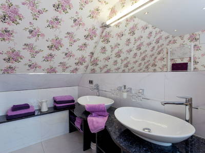 Bild 21 aus  Biberburg und Schwalbennest