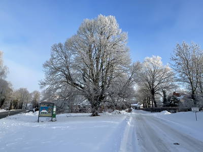 Bild 9 aus  Rittergut Schlüsselburg