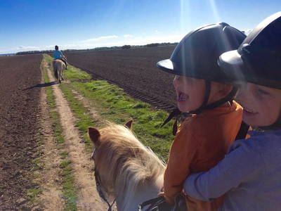 Bild 15 aus  Bauernhof Claussen Fehmarn