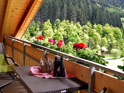 Bild 3 aus  Stinneshof