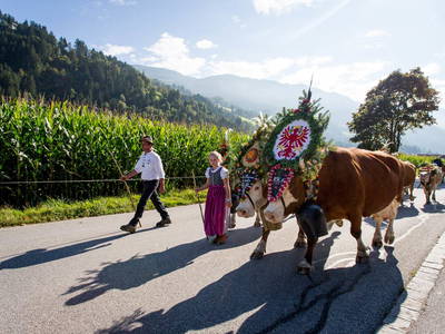 Bild 13 aus  Ferienhaus Bockstecken