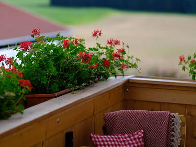 Bild 24 aus  Huberhof Hinzing