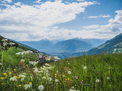 Bild 3 aus  Wiesbauer - Urlaub in Schenna - Südtirol