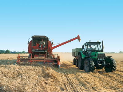 Bild 29 aus  Ferienhof Marquardt