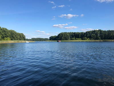 Badestelle am Kleinen Pälitzsee