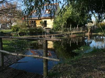 Bild 7 aus  Erlenhof im Oderbruch - Rund ums Schaf
