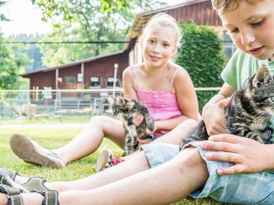 Bild 14 aus  Meuerhof - Familiär. Natürlich. Gut.