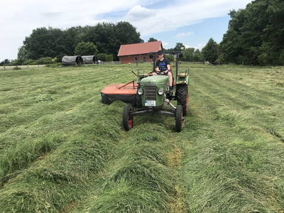 Bild 3 aus  Gutshof Schulze Althoff