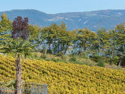 Bild 9 aus  Nofnerhof