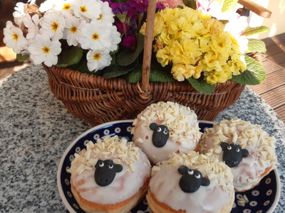 Bild 38 aus  Erlenhof im Oderbruch - Rund ums Schaf