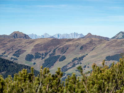 Bild 39 aus  Ferienwohnungen Perfeldhof