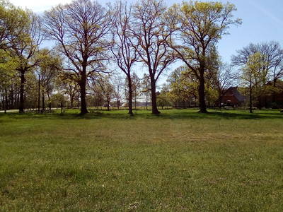 Bild 9 aus  Bauernhof Laave