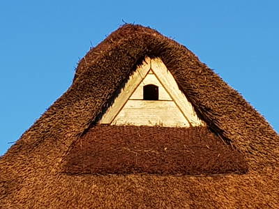 Bild 23 aus  Urlaub bei Familie Schmidt in Wippendorf