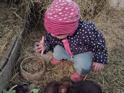 Bild 30 aus  Langenhof im Schwarzwald bei Oppenau