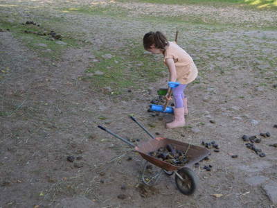 aktiv bei der Stallarbeit