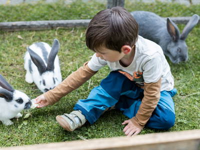 Bild 19 aus  Schädlerhof