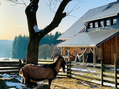 Bild 21 aus  Kleines Vorwerk