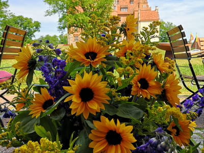 Bild 30 aus  Schloss & Gut Ulrichshusen