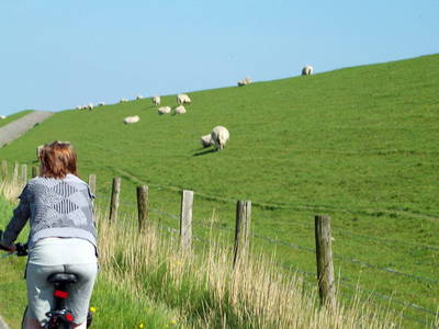 Bild 18 aus  Ferienhof Op de Warft