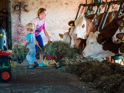 Bild 20 aus  Bauernhof Härtel