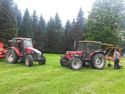 Bild 22 aus  Willkommen bei Familie Gutmann  auf dem Itzenwaldhof