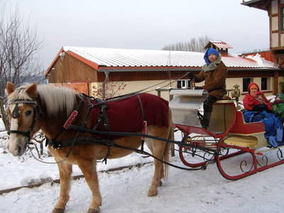 Pferdeschlittenfahrt