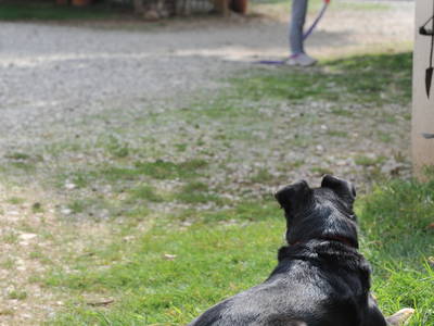 Bild 14 aus  Bauerhofurlaub zwischen den Touristenattraktionen Gardasee, Verona und Mantua