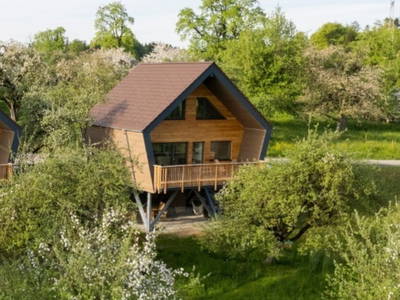 Bild 16 aus  Streuobst Chalets