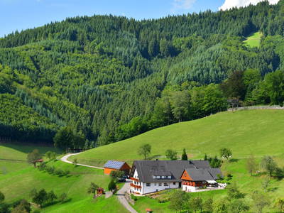 Ferienhaus - Ferienwohnungen Müllerbauernhof