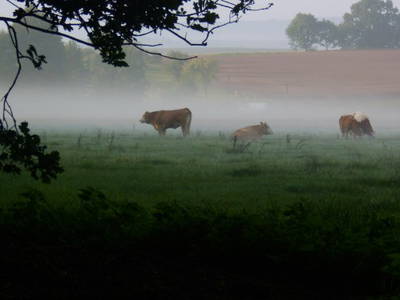 Bild 11 aus  Hof Gerina