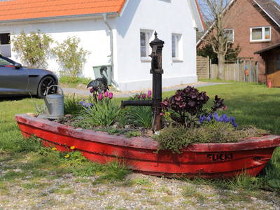 Bild 76 aus  Hof Schlossblick  " der etwas andere Bauernhof "