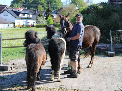 Bild 25 aus  Bauernhofurlaub auf Larbigs Art