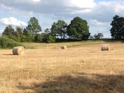 Bild 19 aus  Auszeithaus Brigittenhof