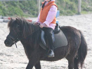 Bild 5 aus  Ulfers Touristik