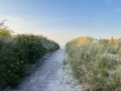 Bild 31 aus  Hof Belvedere an der Ostsee