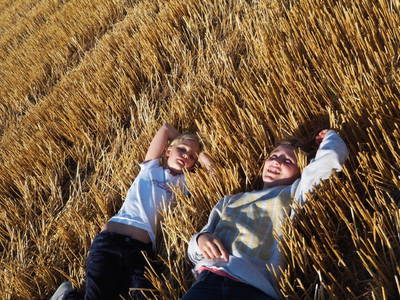 Bild 49 aus  Gestüt Hof am See